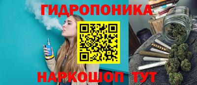 2c-b Гусиноозёрск