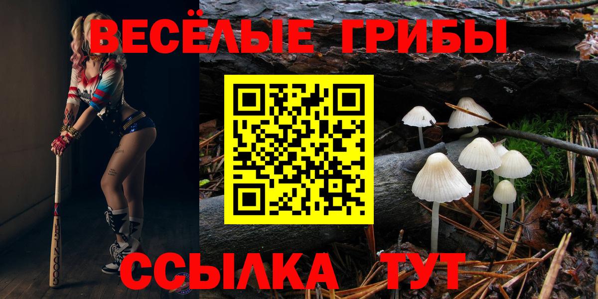 Галлюциногенные грибы прущие грибы Мичуринск